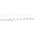 PA - 10 (25 m) Band mit Paspeln