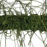 K - 14 (25 m) clothing braid
