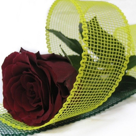 KT - 46/P (10 m) ribbon