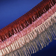 WP -  50 (20 m) decorative fringes