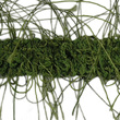 K - 14 (25 m) Kleidung Band
